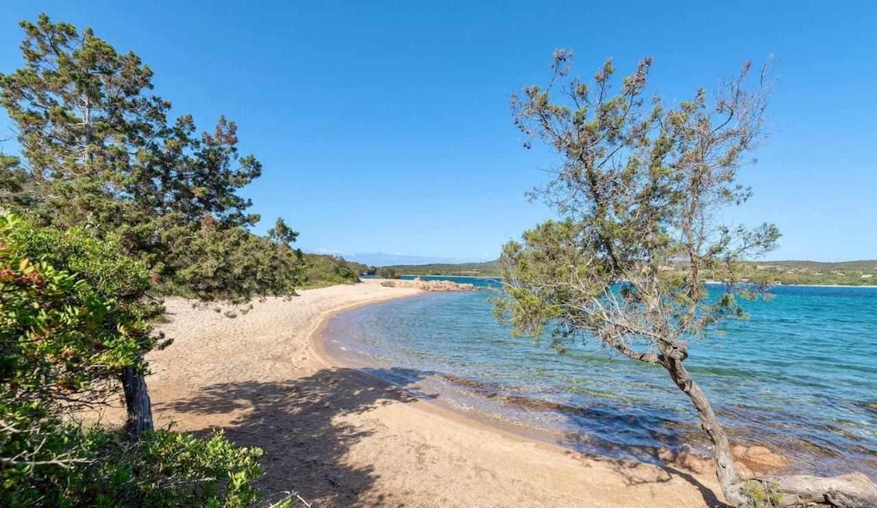 Residence Con Piscina A Palau, A Soli 150 Mt. Dal Mare エクステリア 写真